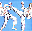 Karate - zum Schlieen ins Bild klicken