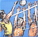 Volleyball - zum Schlieen ins Bild klicken