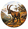 Steinbock