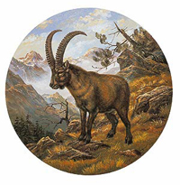 Steinbock