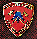 Feuerwehrabzeichen