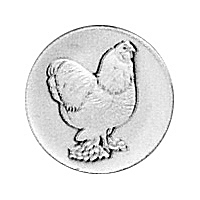 Brahma Huhn